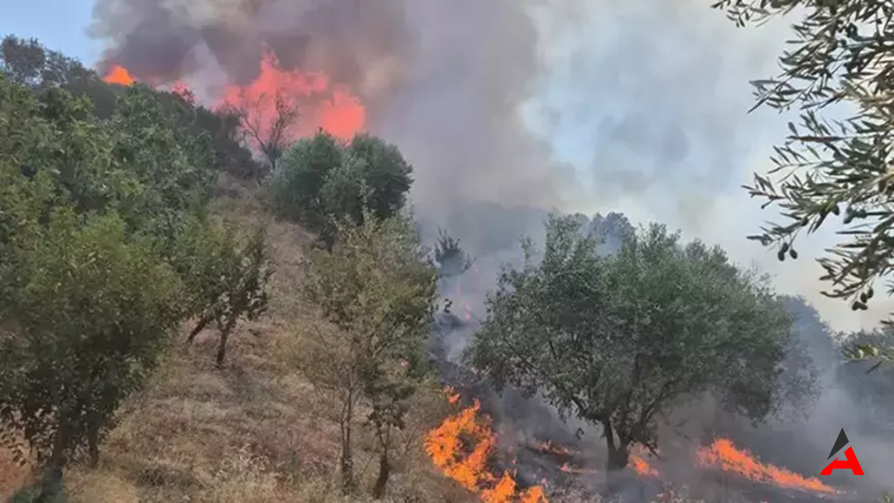 manisa-turgutluda-alarm-tarla-yangini-ormanlara-sicradi-mudahale-buyuk.png